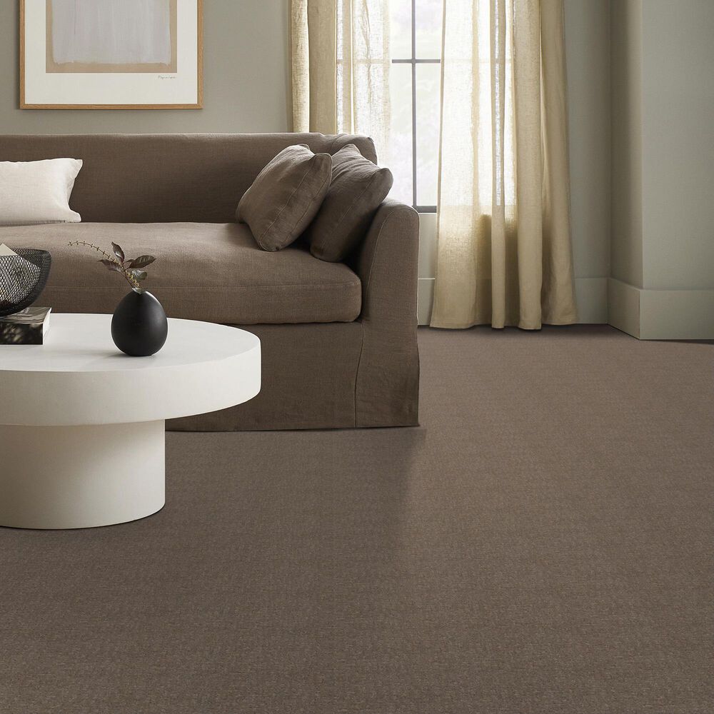 122938-anderson-tuftex-caboodle-carpet-in-sable-1.jpg