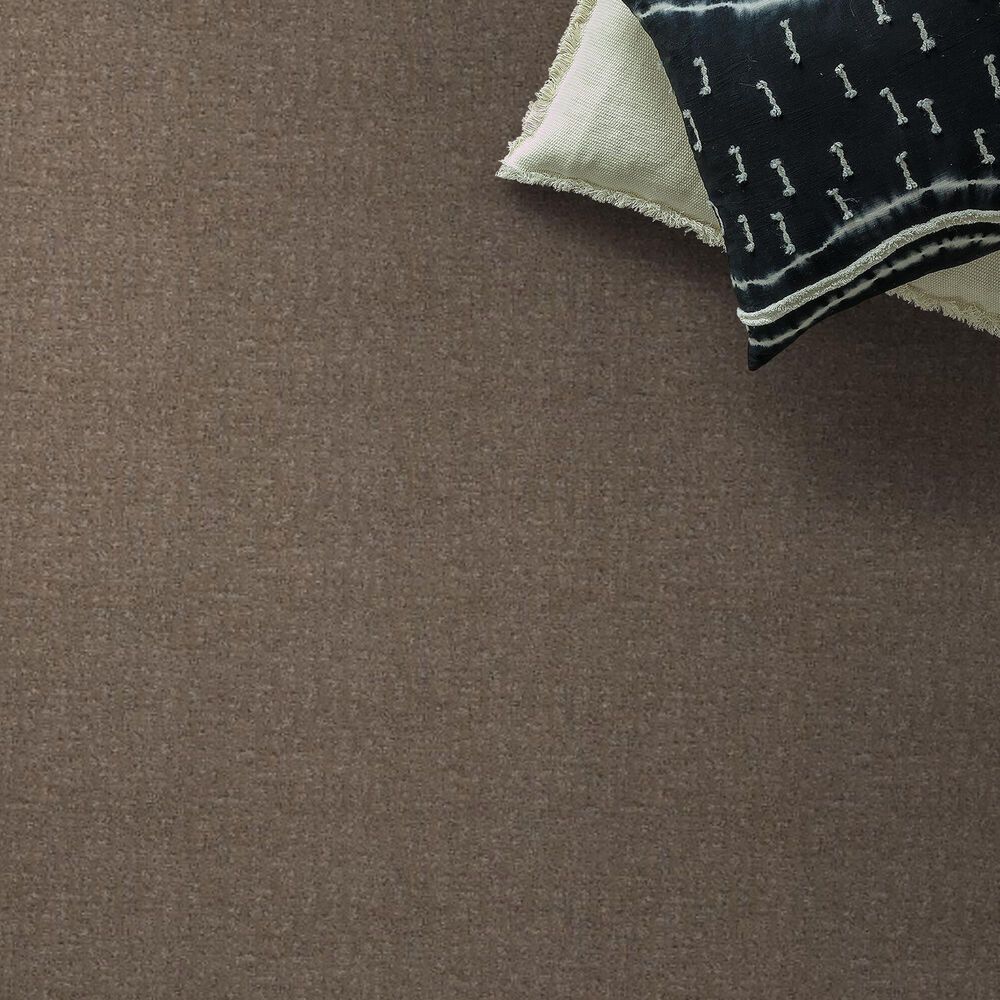 122938-anderson-tuftex-caboodle-carpet-in-sable-1.jpg
