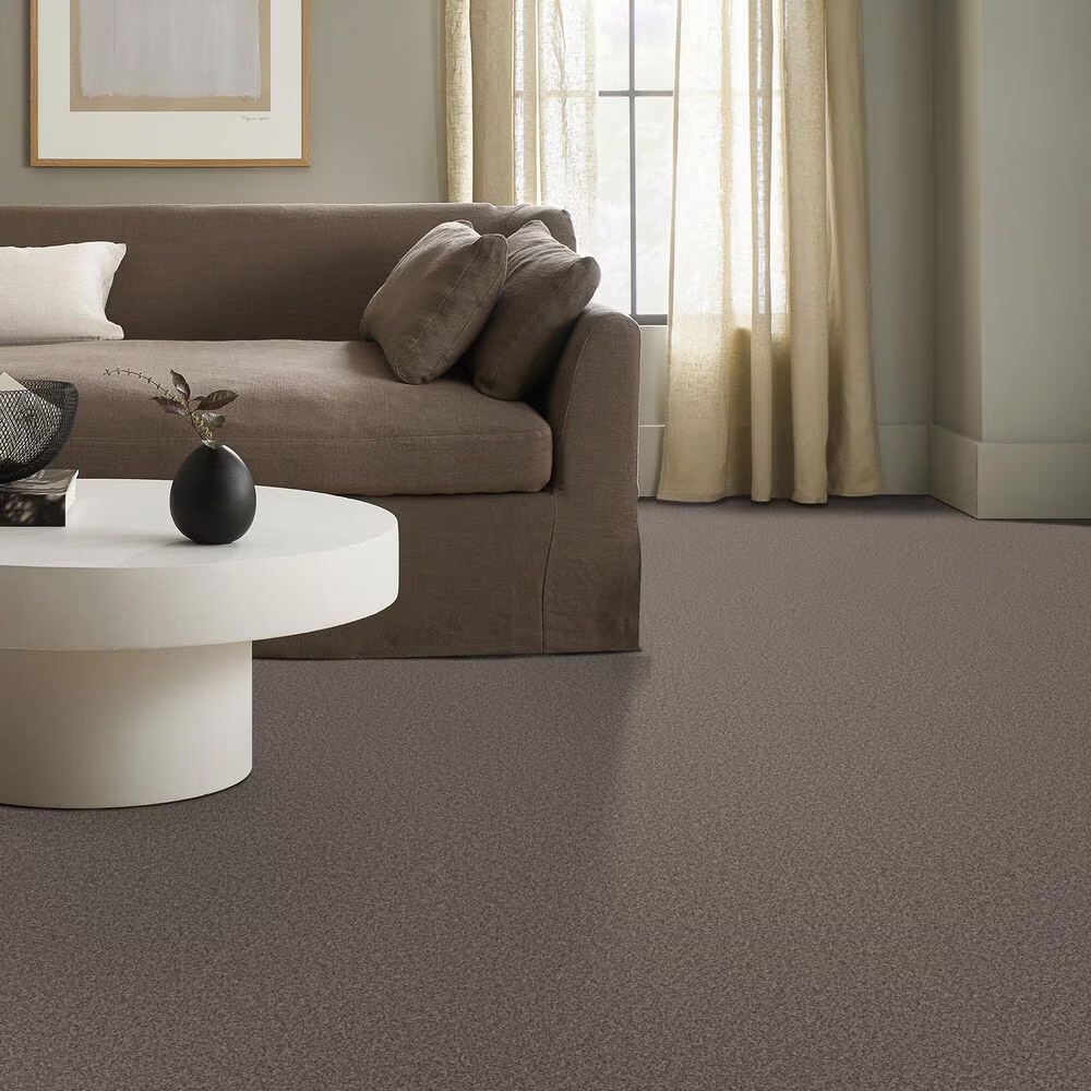 122958-anderson-tuftex-kaleidoscope-carpet-in-natural-stone-1.jpg