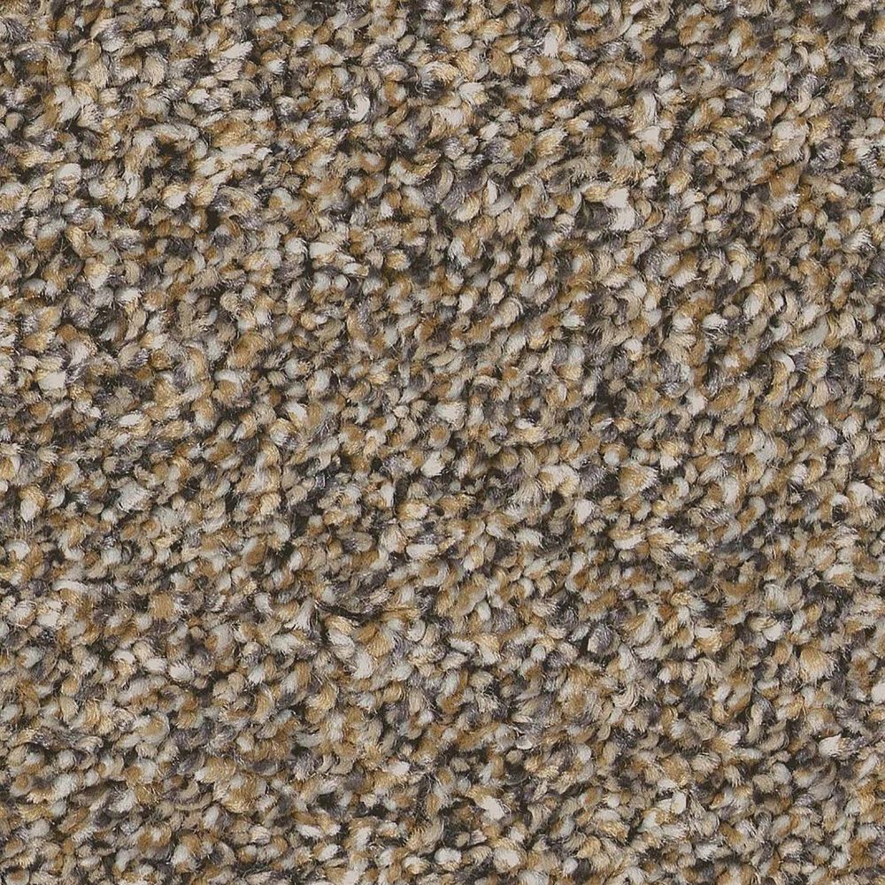 Anderson Tuftex Kaleidoscope Carpet in Shimmering