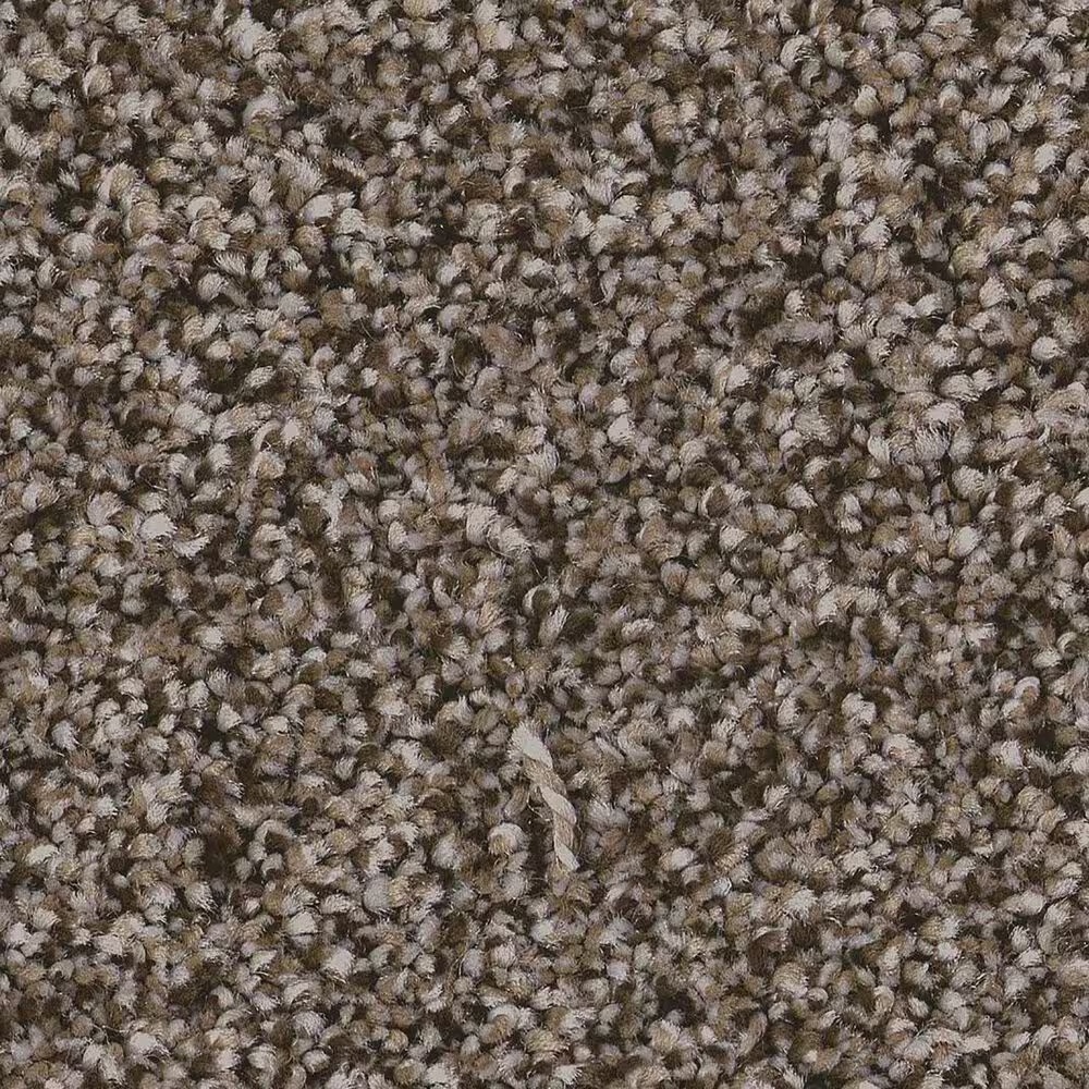 Anderson Tuftex Kaleidoscope Carpet in Open Range