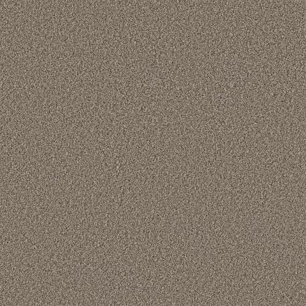 Shaw Artistic Fusion I Carpet in Sea Shell