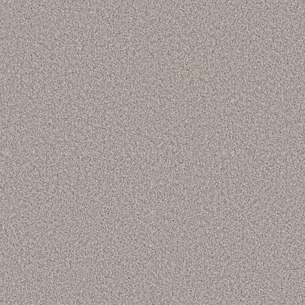 Shaw Artistic Fusion I Carpet in Frozen