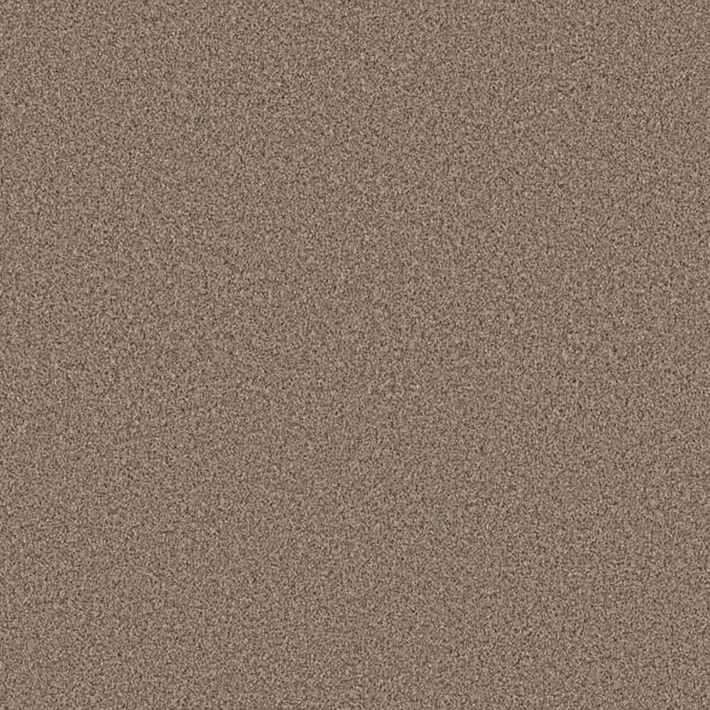 Shaw Artistic Fusion I Carpet in Moonwalk
