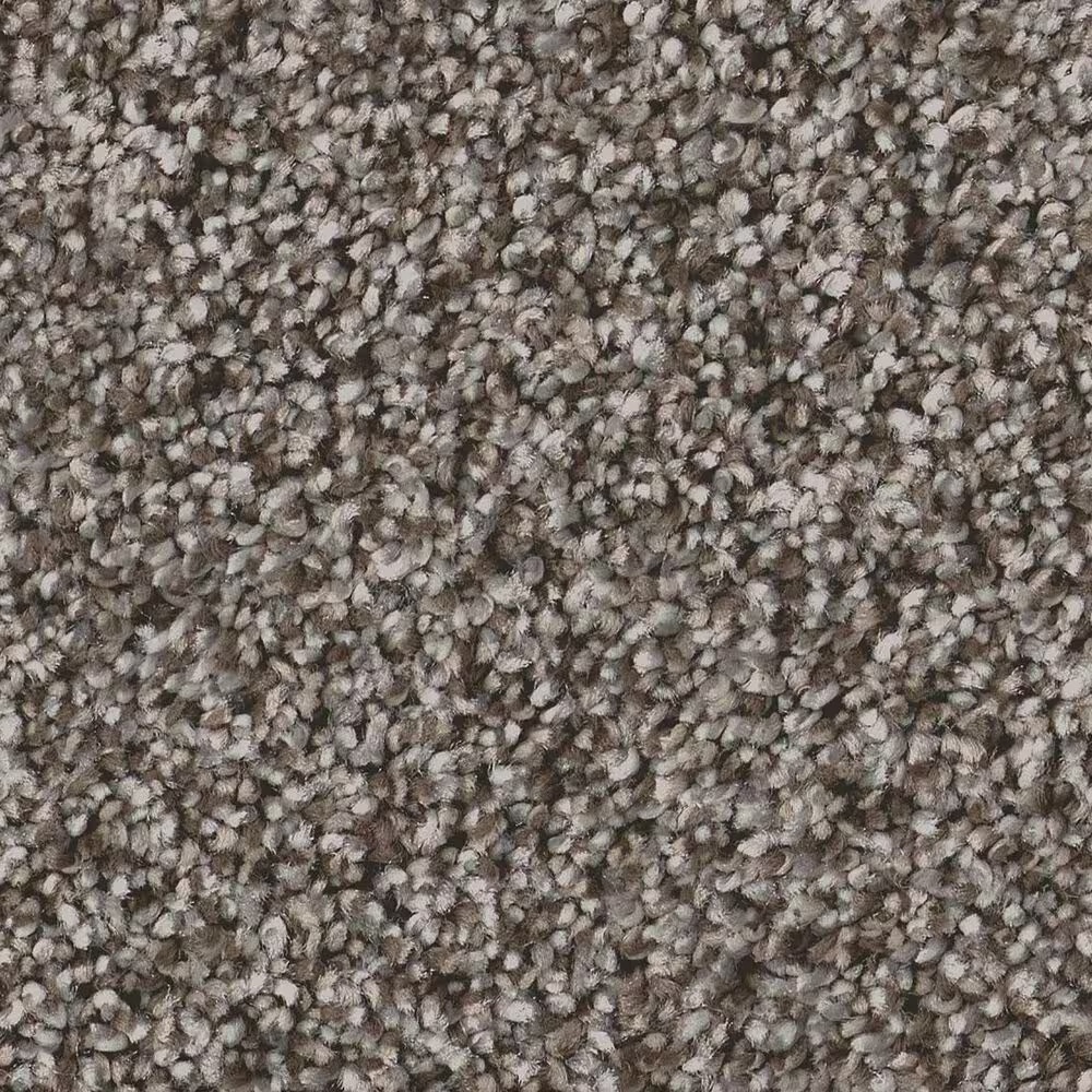 Shaw Artistic Fusion I Carpet in Ashes