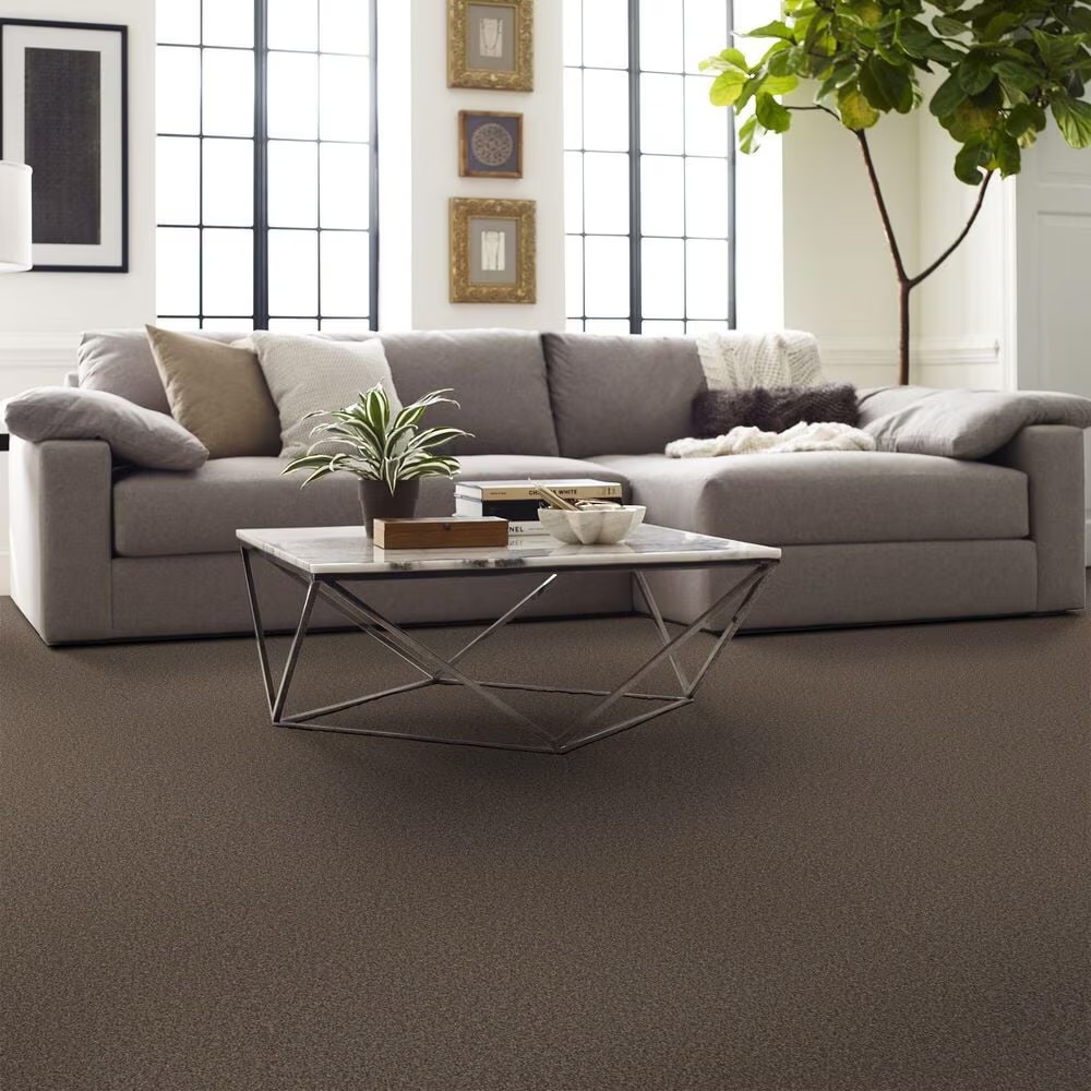 123310-shaw-artistic-fusion-i-carpet-in-orange-oxide-1.jpg