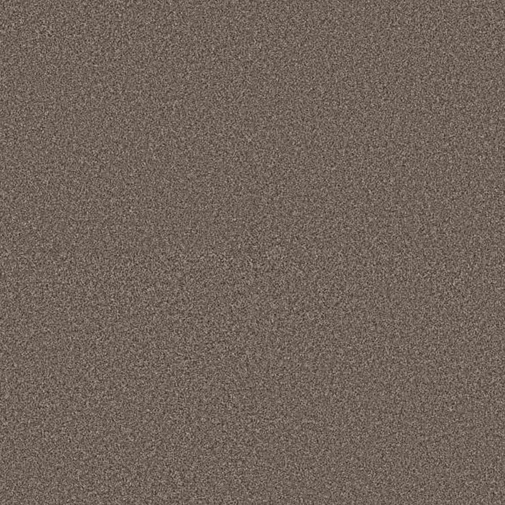 Shaw Artistic Fusion I Carpet in Urban Rustic