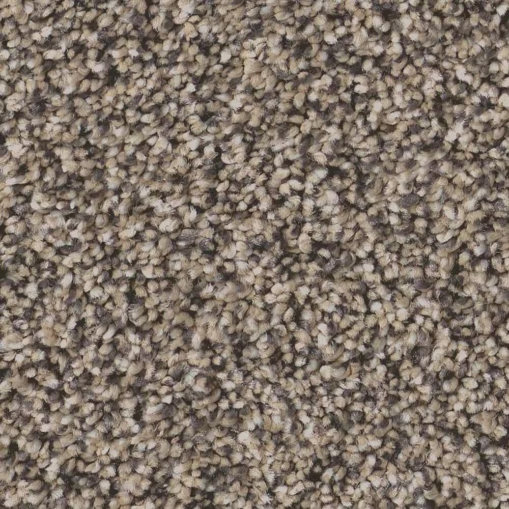 Shaw Artistic Fusion II Carpet in Sea Shell