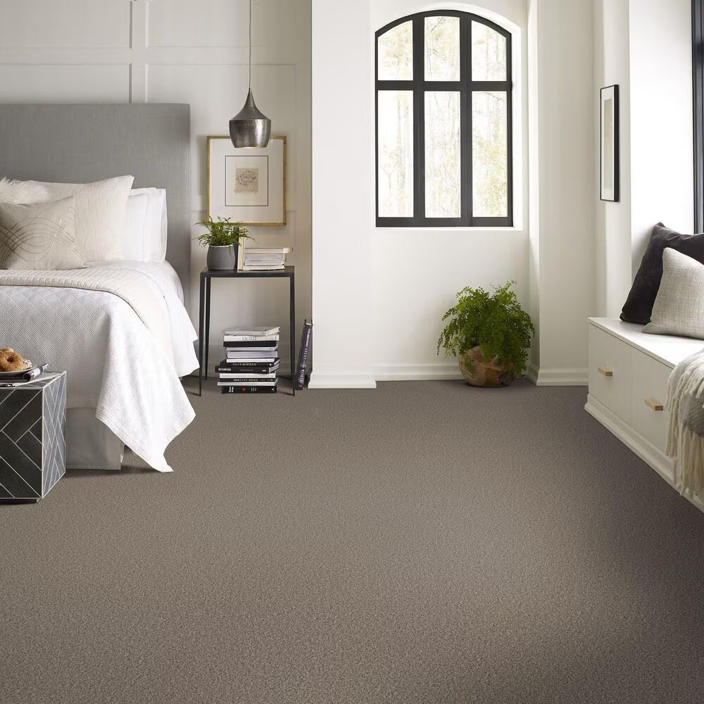 123317-shaw-artistic-fusion-ii-carpet-in-sea-shell-1.jpg
