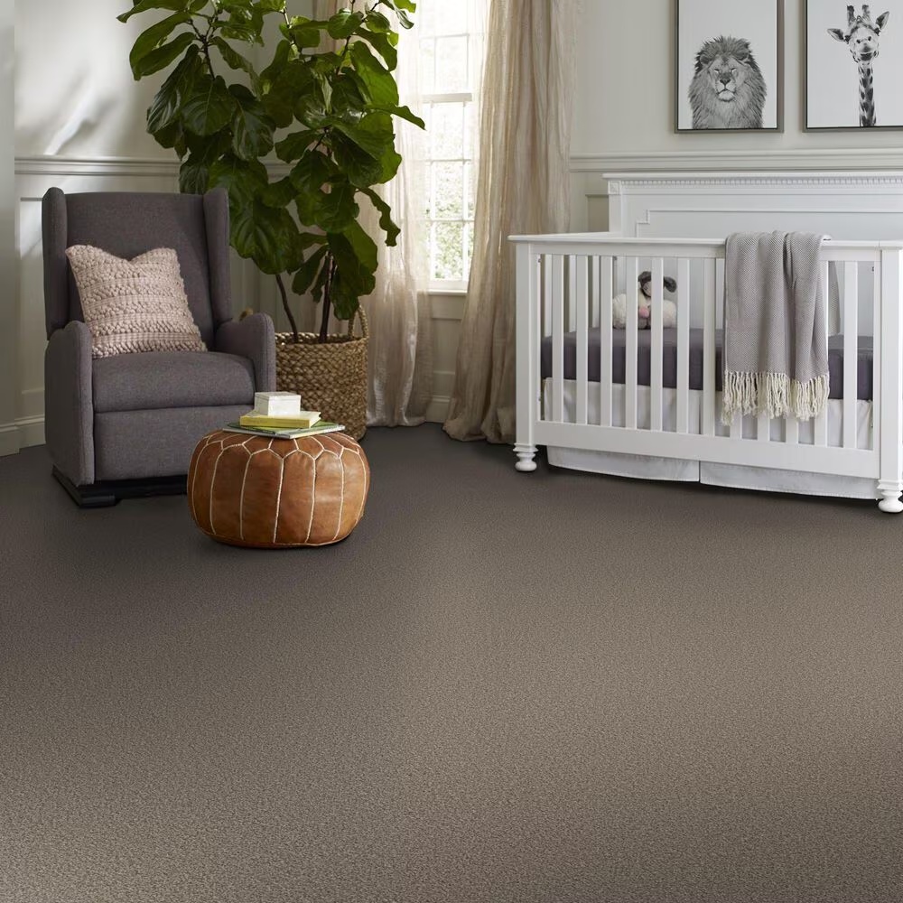 123317-shaw-artistic-fusion-ii-carpet-in-sea-shell-1.jpg