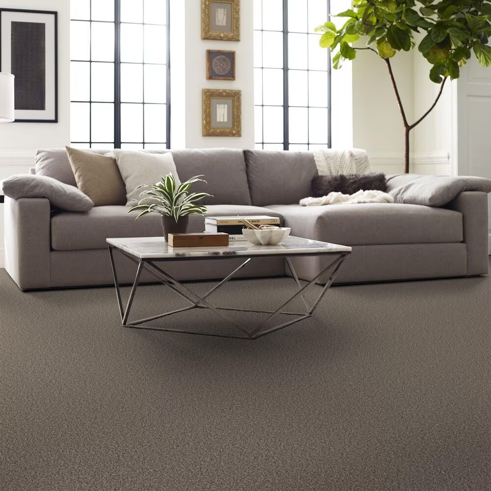 123317-shaw-artistic-fusion-ii-carpet-in-sea-shell-1.jpg