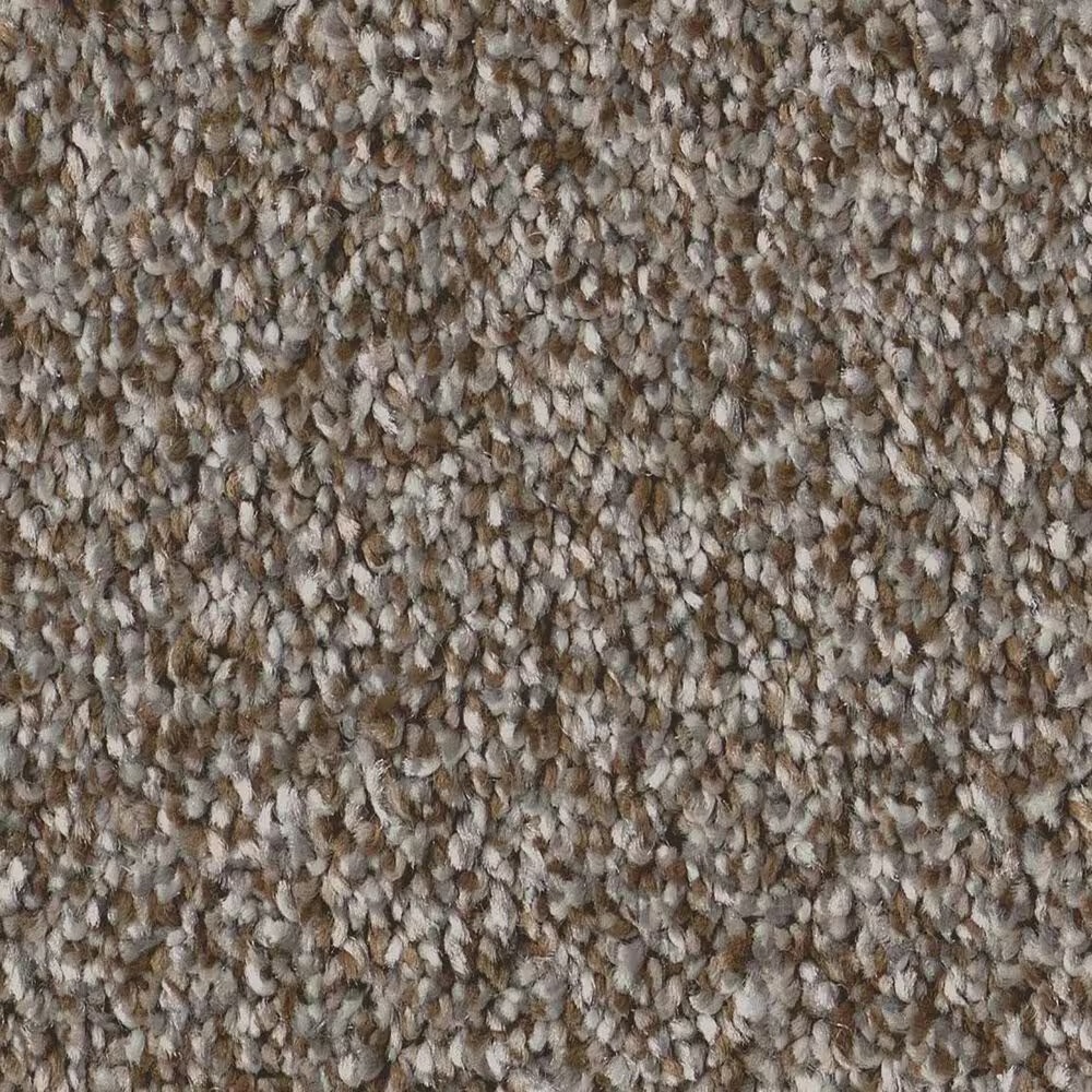Shaw Artistic Fusion II Carpet in Cashmere