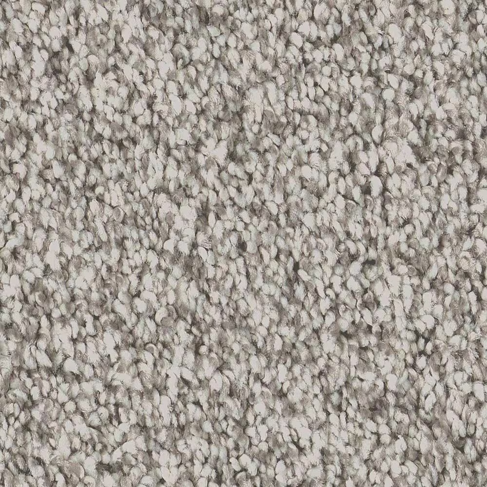 Shaw Artistic Fusion II Carpet in Frozen
