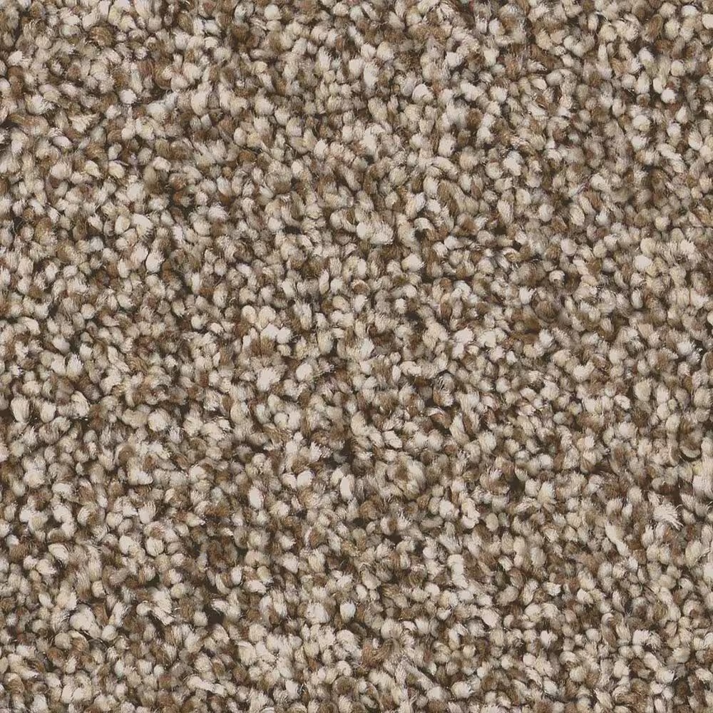 Shaw Artistic Fusion II Carpet in Cameo