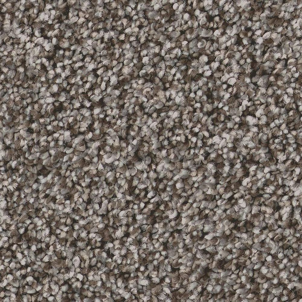 Shaw Artistic Fusion II Carpet in Ashes