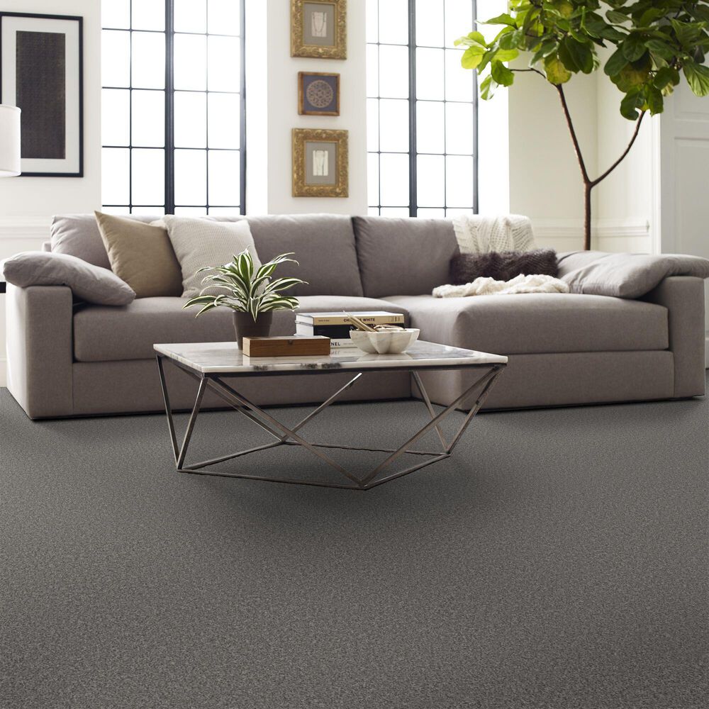 123330-shaw-artistic-fusion-ii-carpet-in-vintage-1.jpg