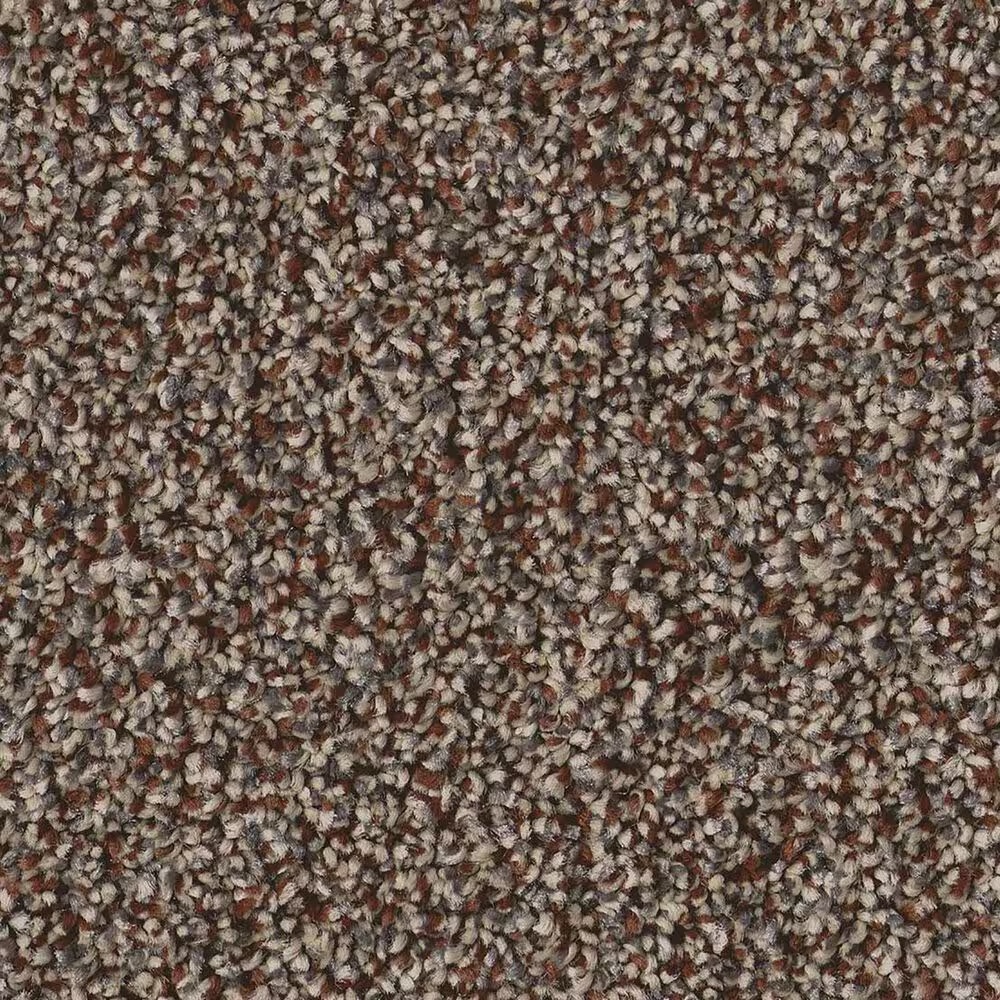 Shaw Artistic Fusion II Carpet in Orange Oxide