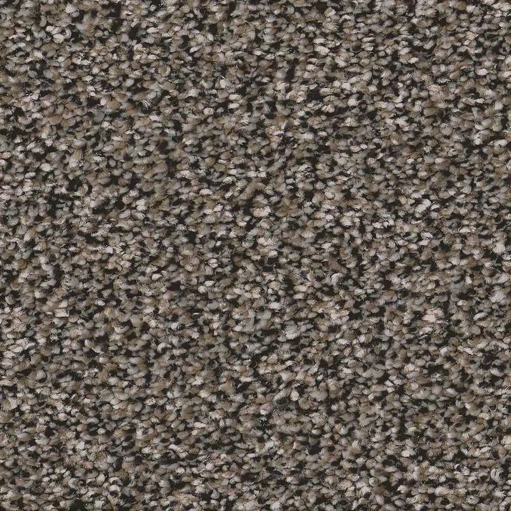 Shaw Artistic Fusion II Carpet in Cafe Noir