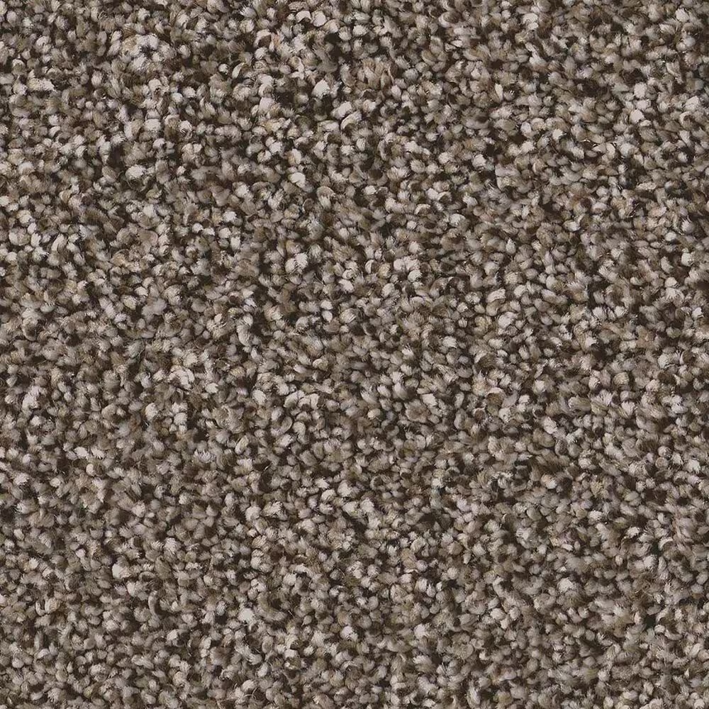 Shaw Artistic Fusion II Carpet in Urban Rustic