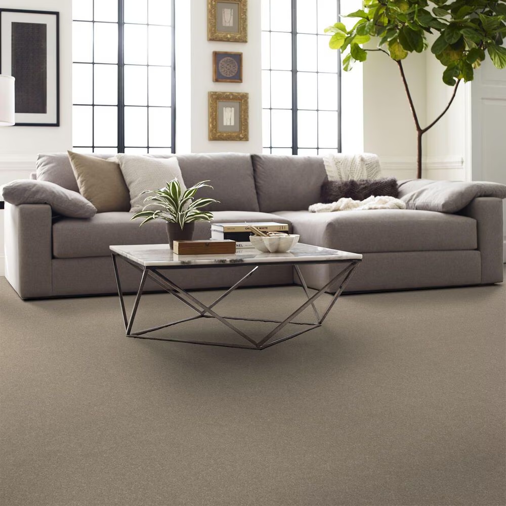 123509-shaw-hard-at-play-iii-carpet-in-subtle-clay-1.jpg