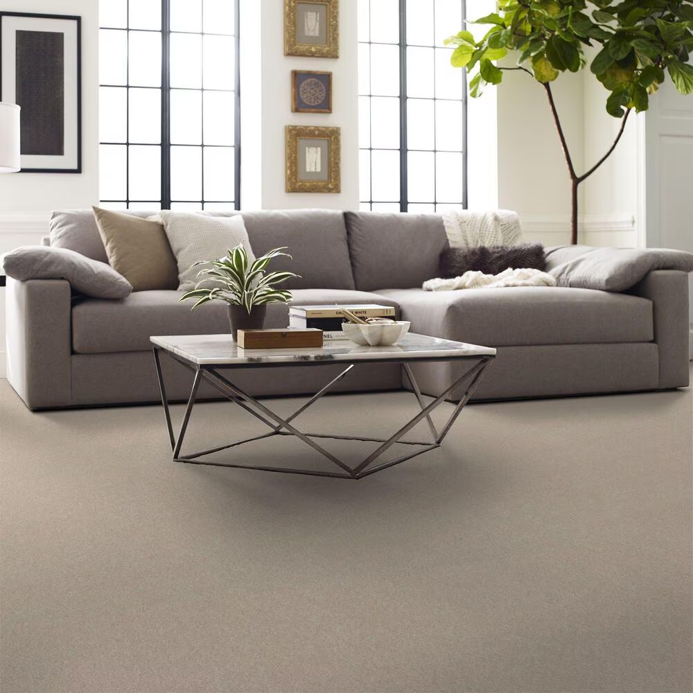 123567-shaw-hard-at-play-iii-carpet-in-warm-light-1.jpg