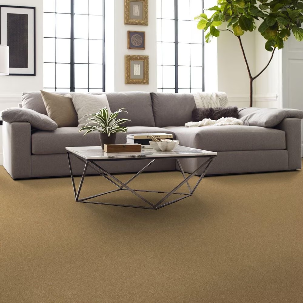 123625-shaw-hard-at-play-iii-carpet-in-honeycomb-1.jpg