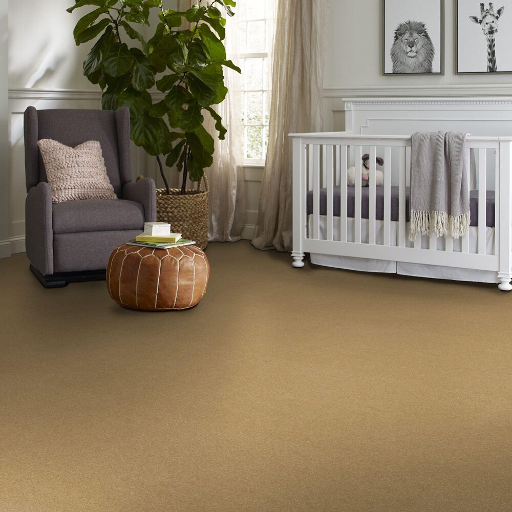 123625-shaw-hard-at-play-iii-carpet-in-honeycomb-1.jpg