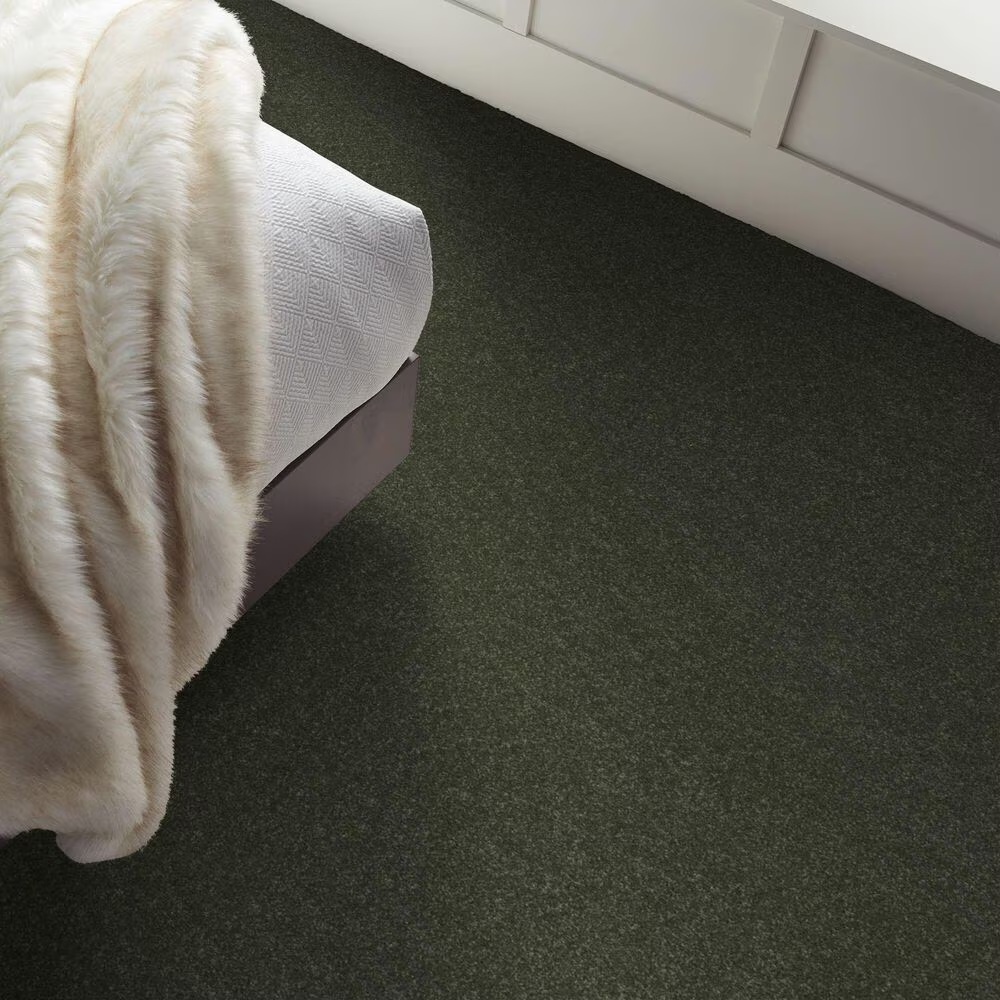 123654-shaw-hard-at-play-iii-carpet-in-rerooted-nature-1.jpg