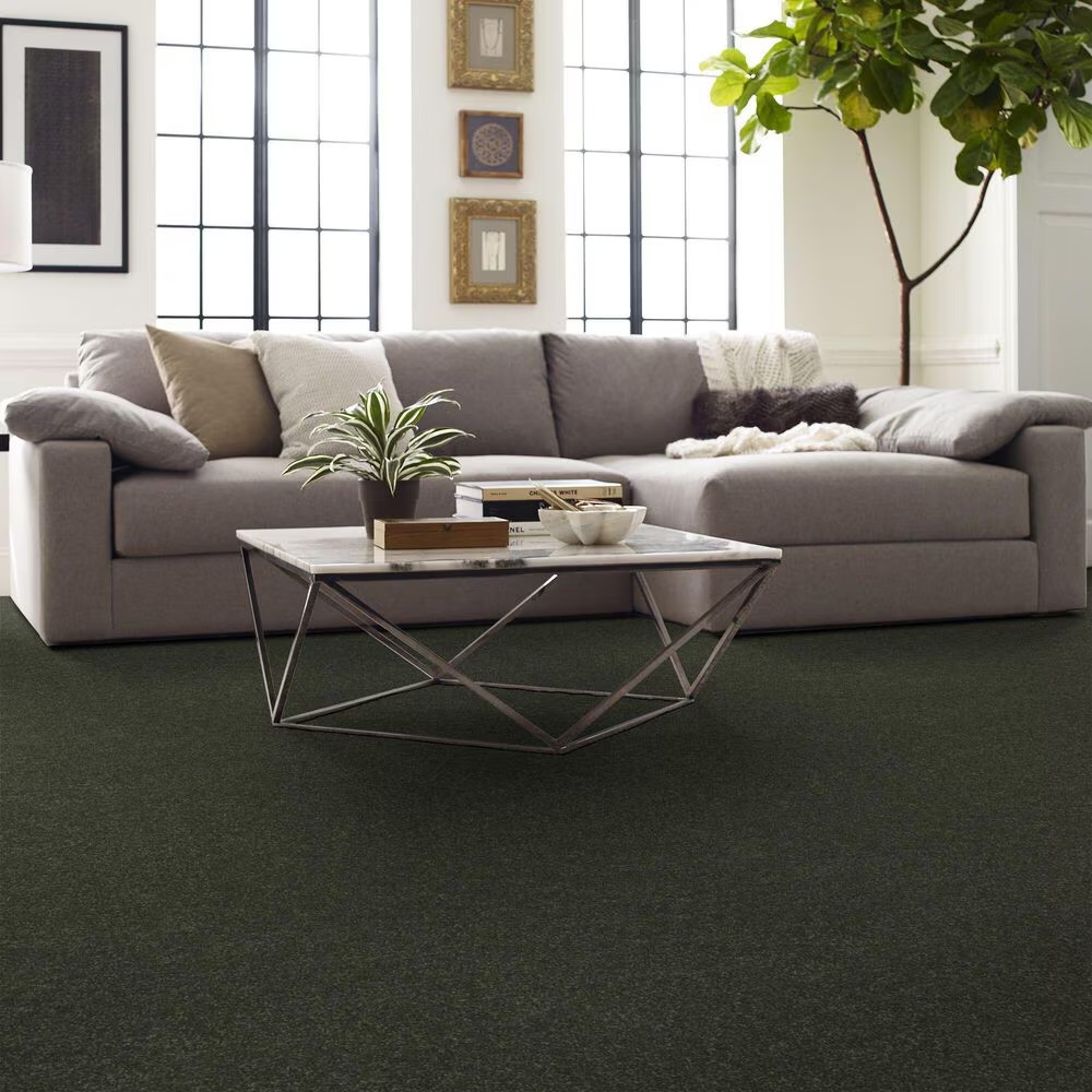 123654-shaw-hard-at-play-iii-carpet-in-rerooted-nature-1.jpg