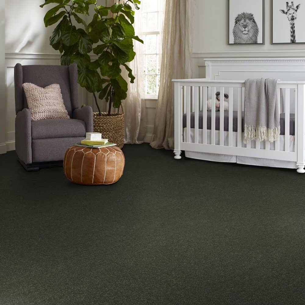 123654-shaw-hard-at-play-iii-carpet-in-rerooted-nature-1.jpg