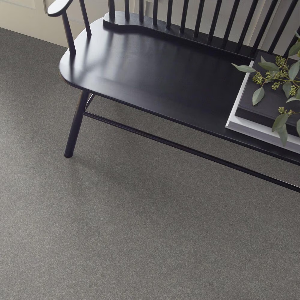 Shaw Hard At Play Iii Carpet in Vintage