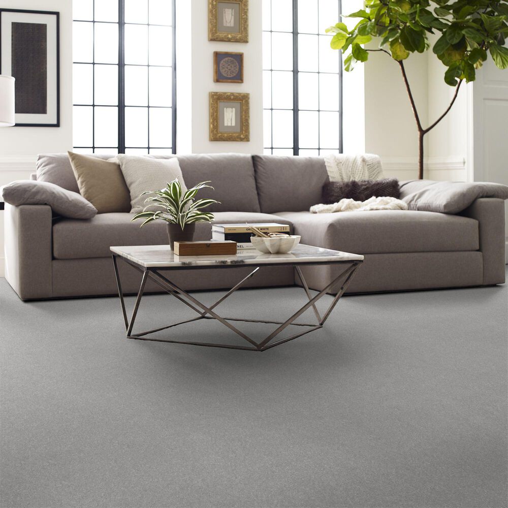 123973-shaw-hard-at-play-iii-carpet-in-lilac-gray-1.jpg