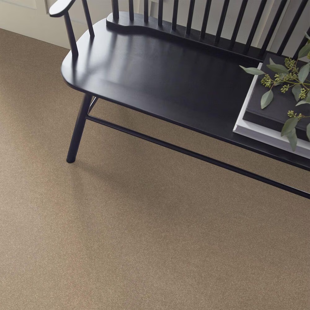 Shaw Hard At Play Iii Carpet in Worn Path