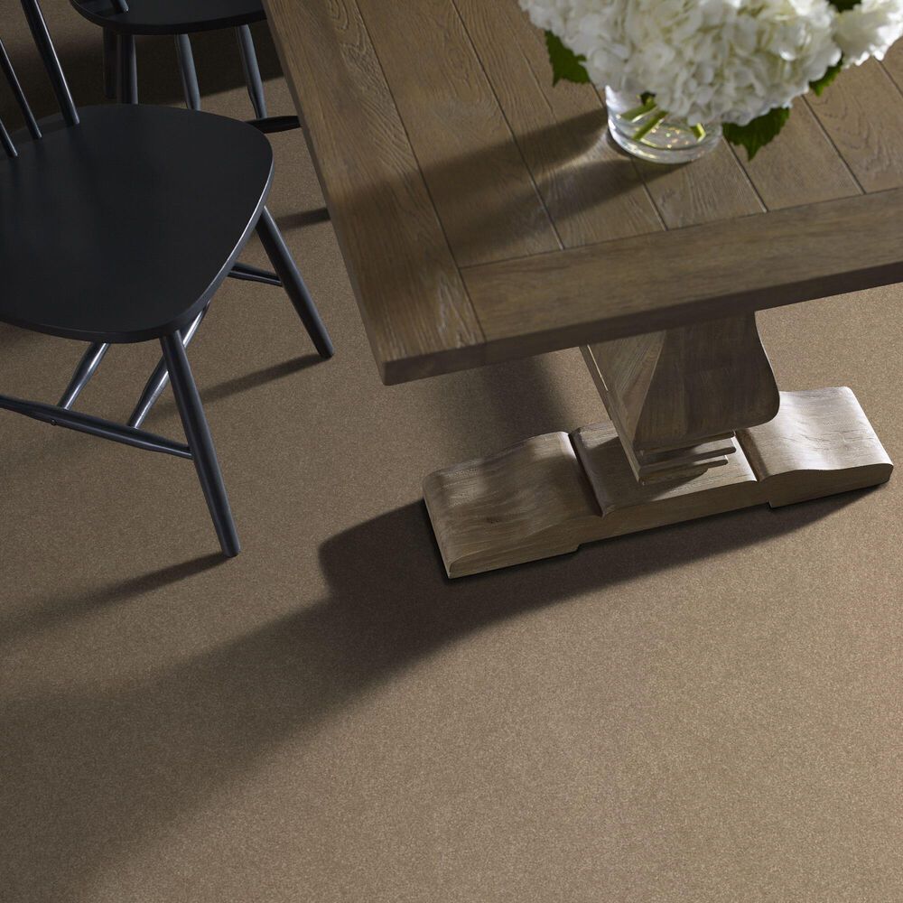 124031-shaw-hard-at-play-iii-carpet-in-worn-path-1.jpg