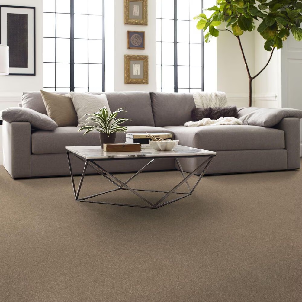 124031-shaw-hard-at-play-iii-carpet-in-worn-path-1.jpg