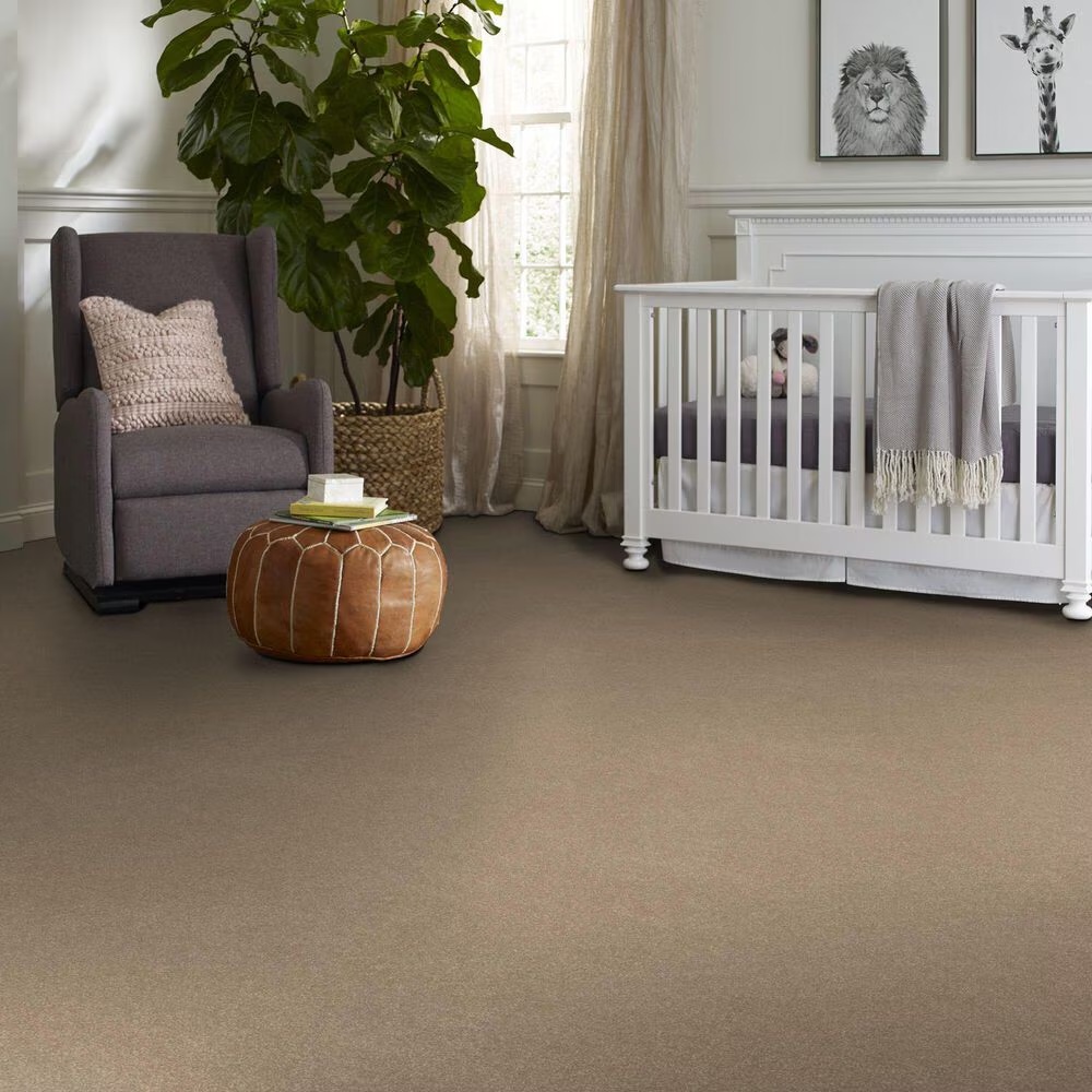 124031-shaw-hard-at-play-iii-carpet-in-worn-path-1.jpg