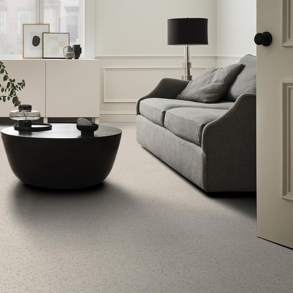 124404-shaw-intricate-trace-carpet-in-marble-1.jpg