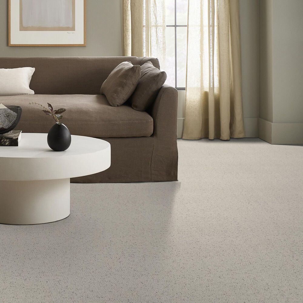 124404-shaw-intricate-trace-carpet-in-marble-1.jpg