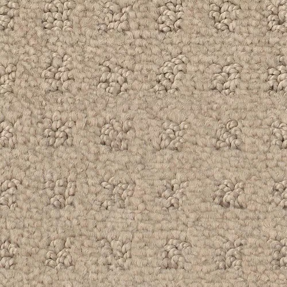 Shaw West Coast Carpet in Terrazo