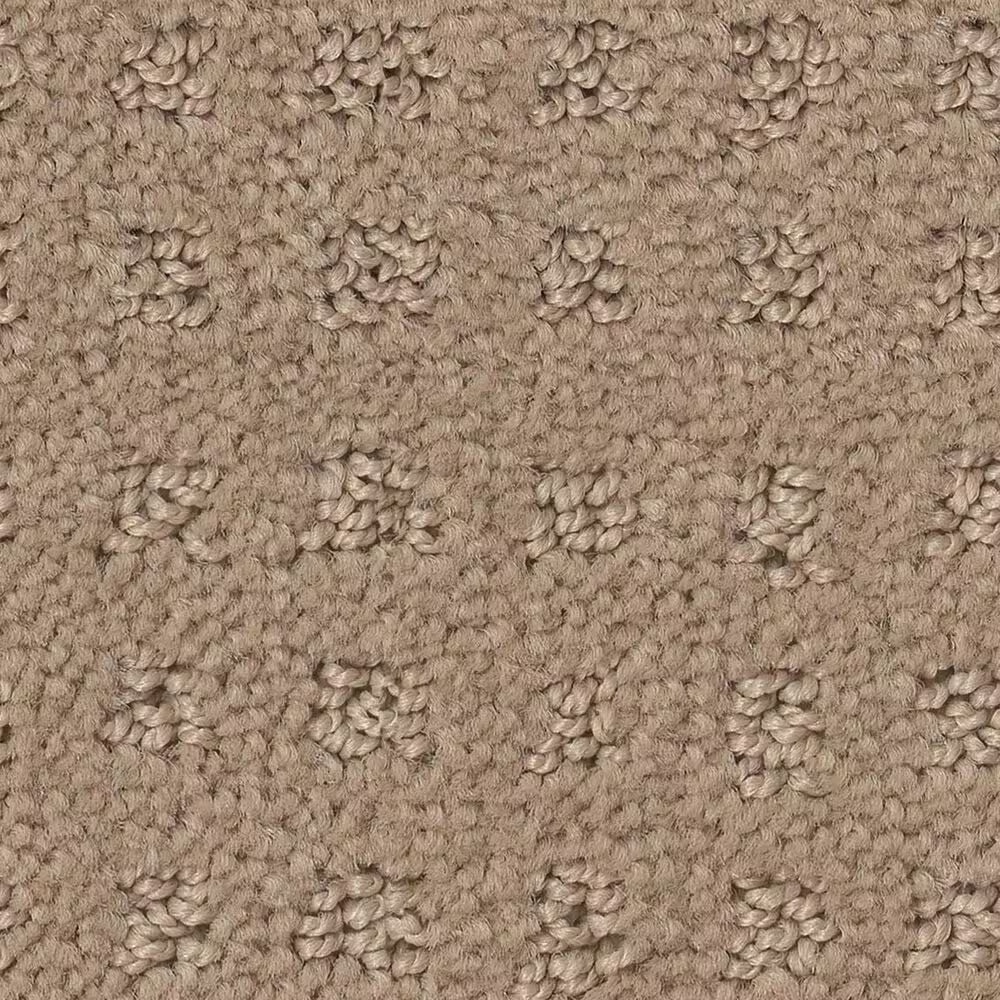 Shaw West Coast Carpet in Beach Grass