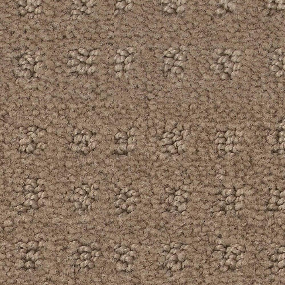 Shaw West Coast Carpet in Sierra Hills