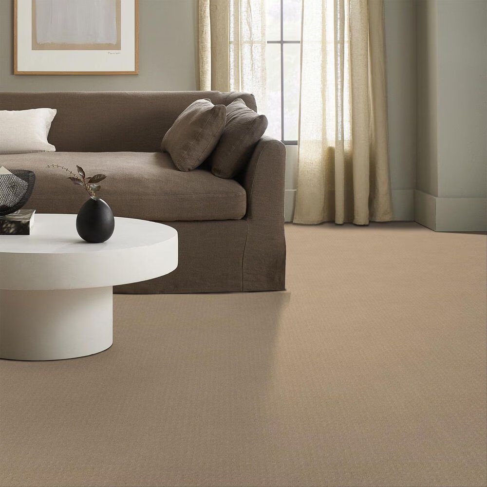 124636-shaw-west-coast-carpet-in-magic-1.jpg