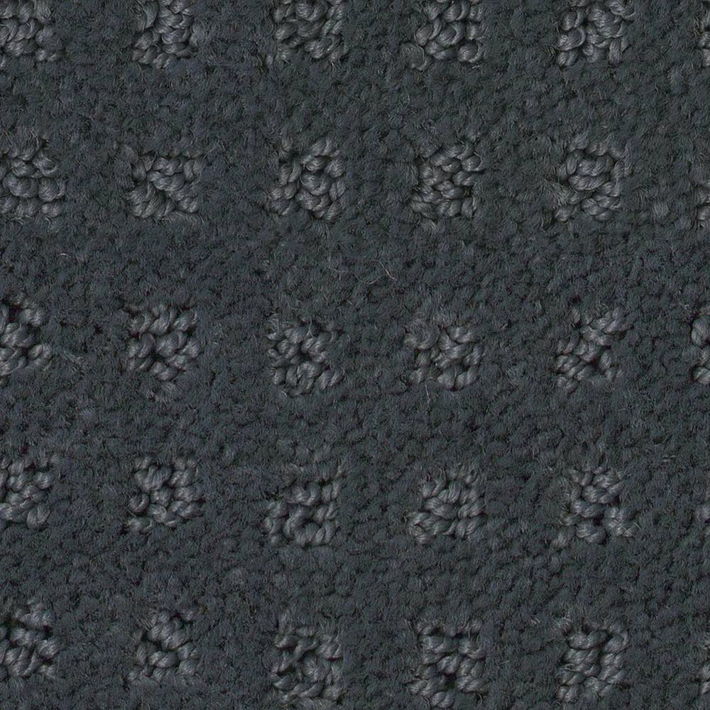 Shaw West Coast Carpet in Marina