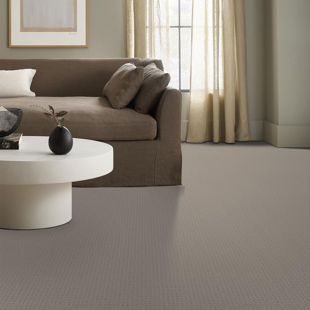 124640-shaw-west-coast-carpet-in-ash-mist-1.jpg