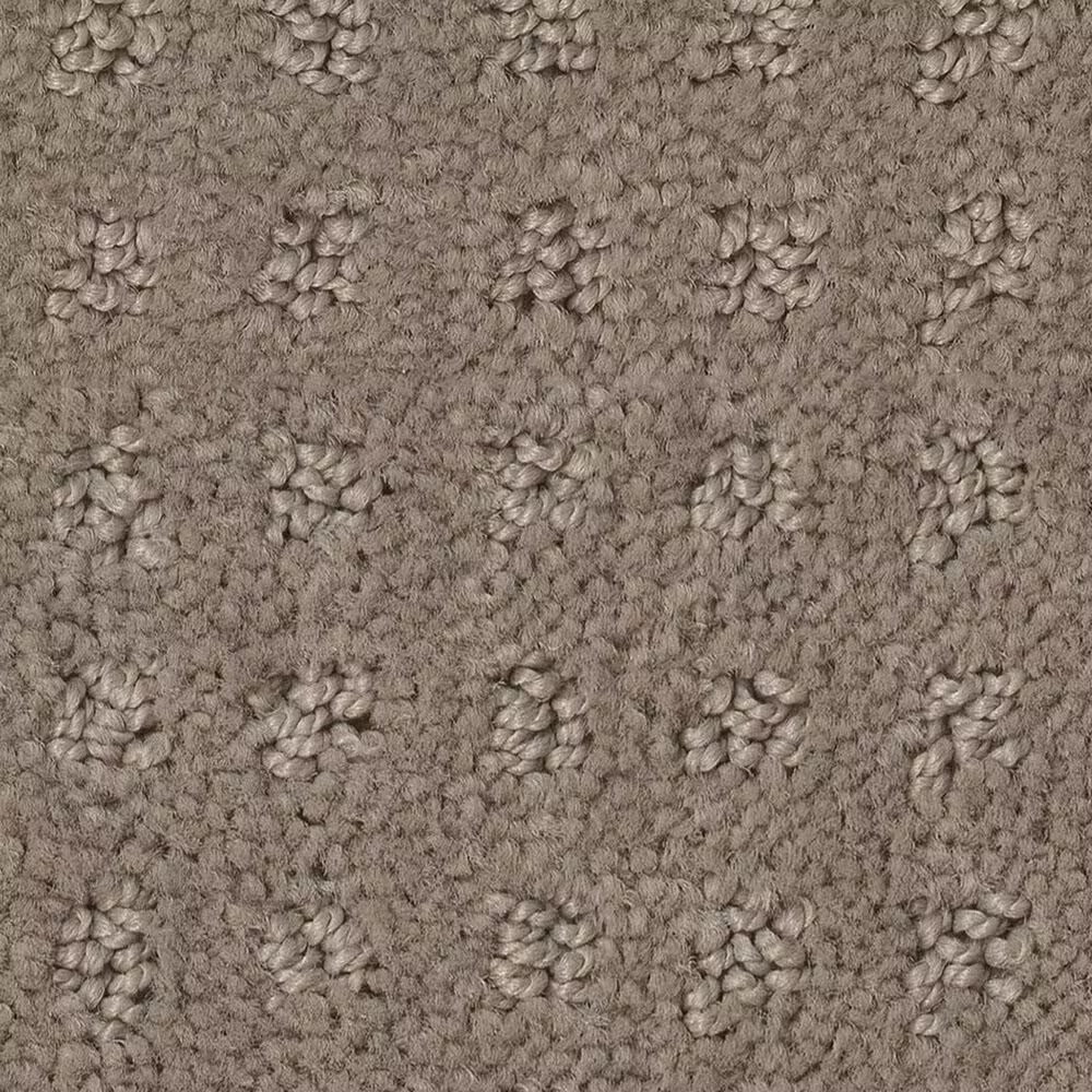 Shaw West Coast Carpet in Koala