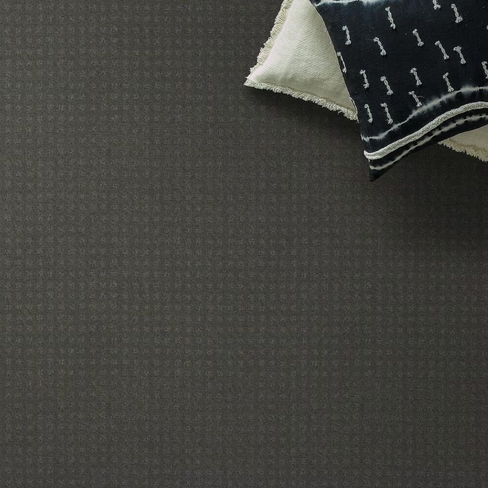 124646-shaw-west-coast-carpet-in-pewter-1.jpg