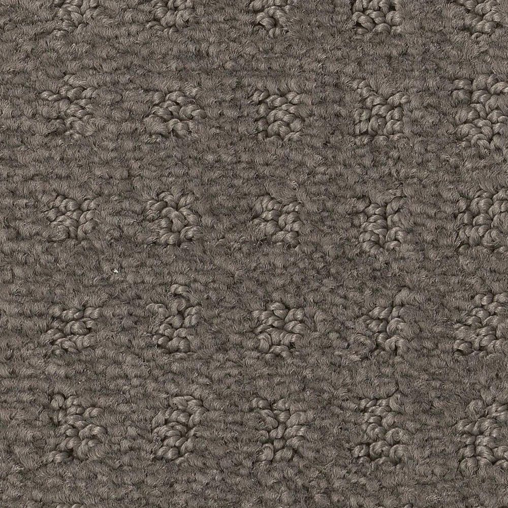 Shaw West Coast Carpet in Potting Soil