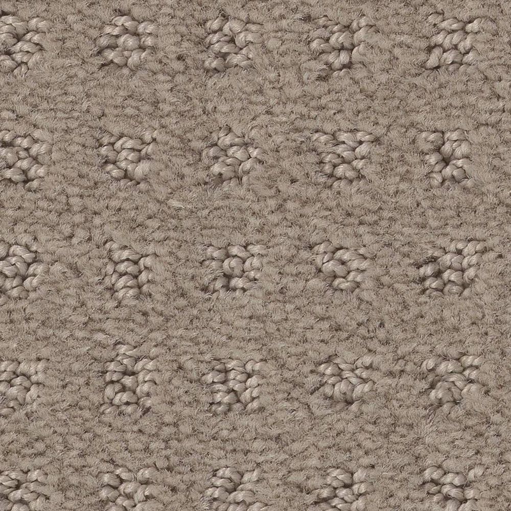 Shaw West Coast Carpet in Barista