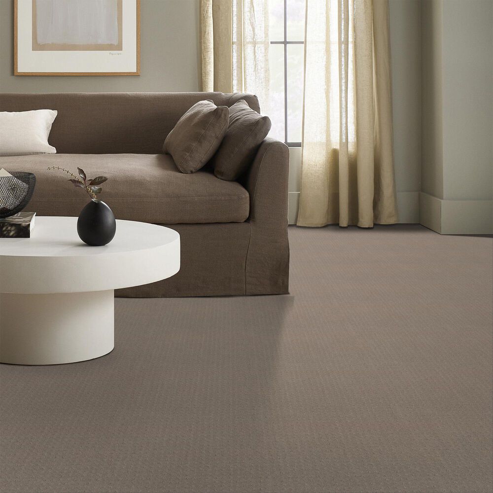 124649-shaw-west-coast-carpet-in-barista-1.jpg