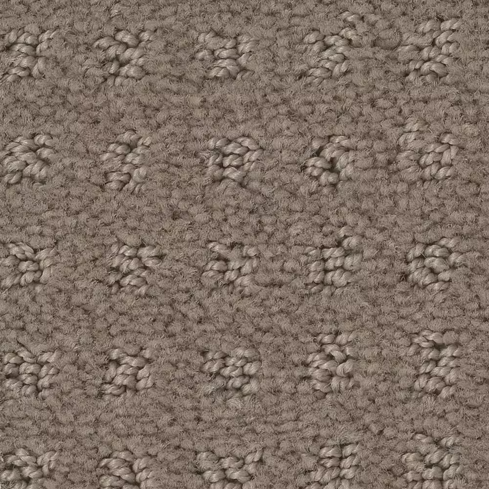 Shaw West Coast Carpet in Shitake